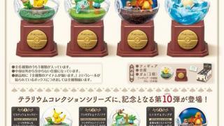 食玩22年4月発売 ポケットモンスター テラリウムコレクション10 リーメント あにガチャどっとこむ