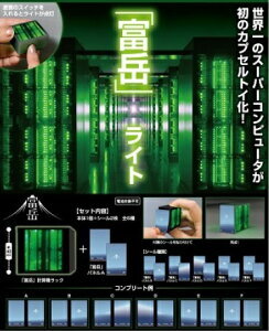 国立研究開発法人理化学研究所　「富岳」ライト