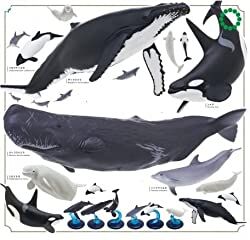 ネイチャーテクニカラー400　クジラとイルカ