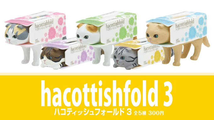 ハコティッシュフォールド3