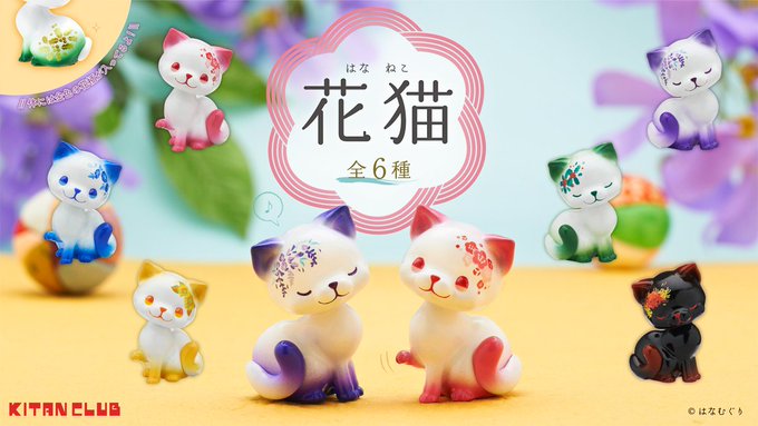 花猫