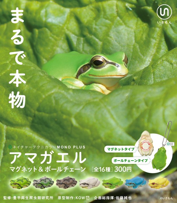 NTC MONO+アマガエル マグネット&ボールチェーン