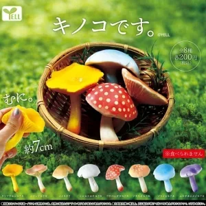 キノコです。