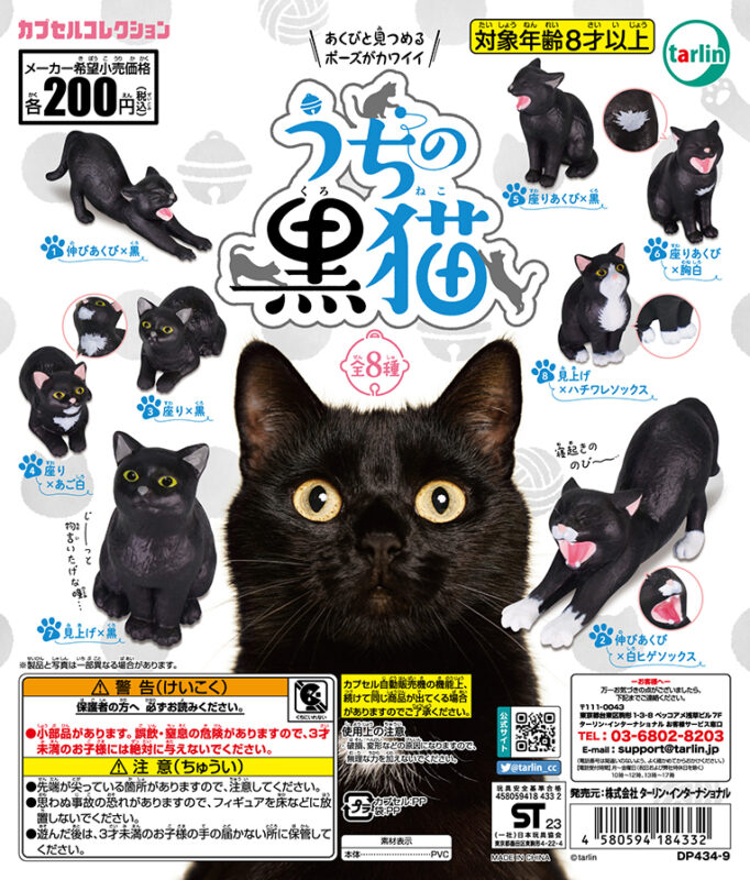 うちの黒猫