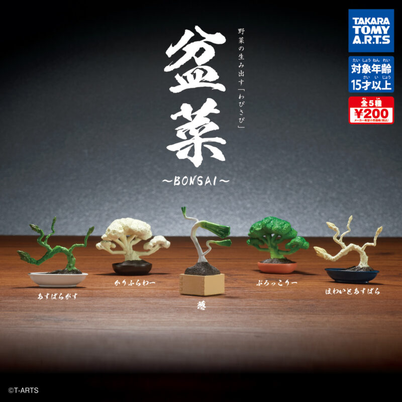 盆菜～BONSAI～