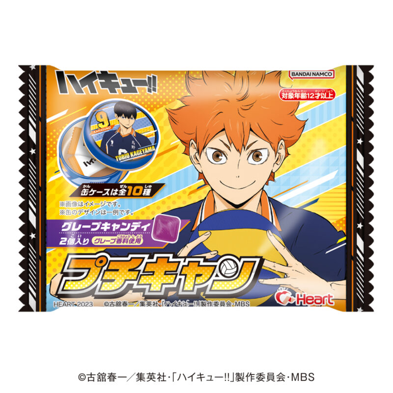 ハイキュー！！ プチキャン