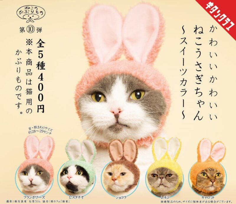 かわいいかわいい ねこうさぎちゃん ～スイーツカラー～