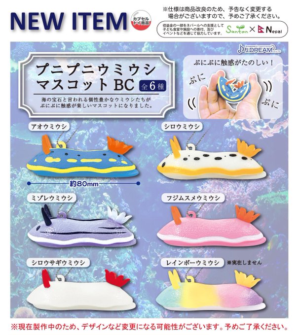 プニプニ ウミウシ マスコットBC