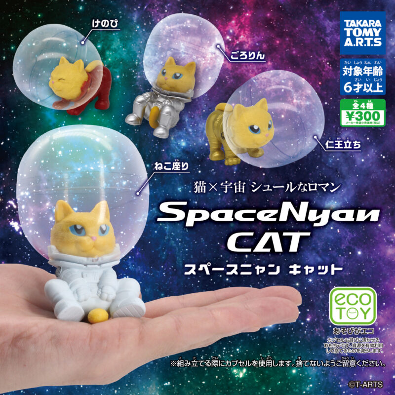 SpaceNyan CAT