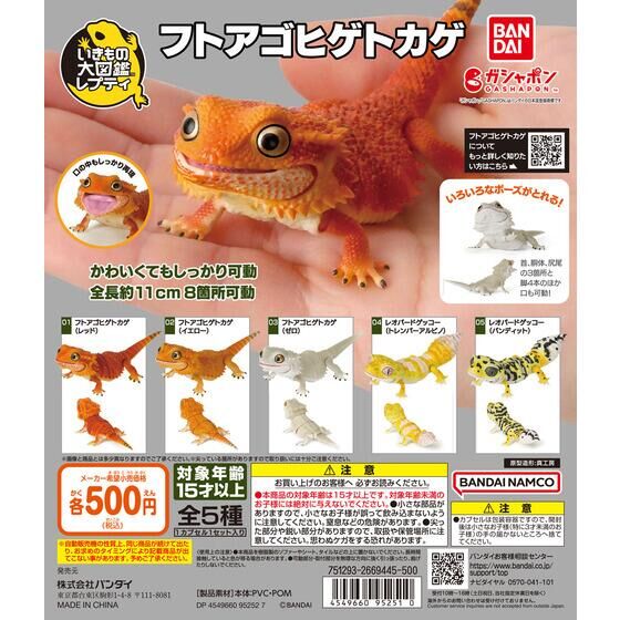 いきもの大図鑑レプティ フトアゴヒゲトカゲ