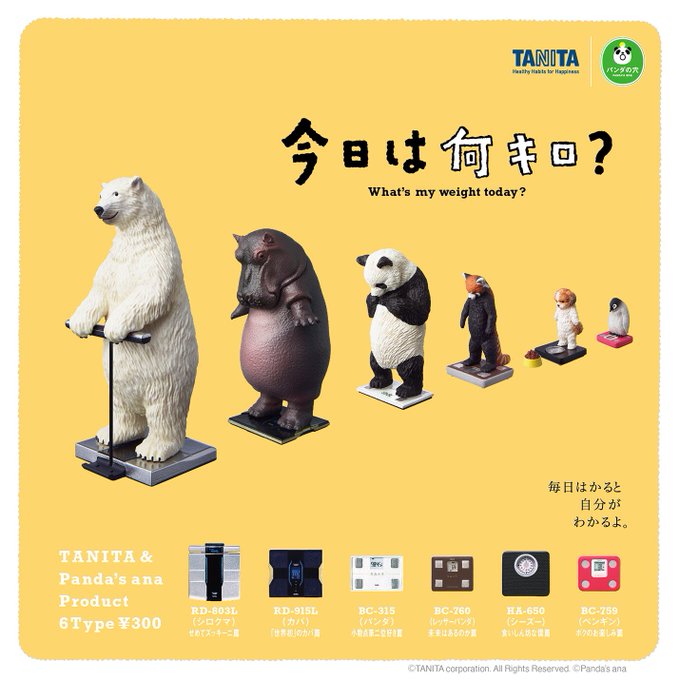 パンダの穴×タニタ 今日は何キロ？