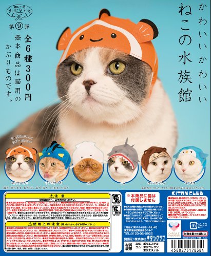 かわいいかわいい ねこの水族館