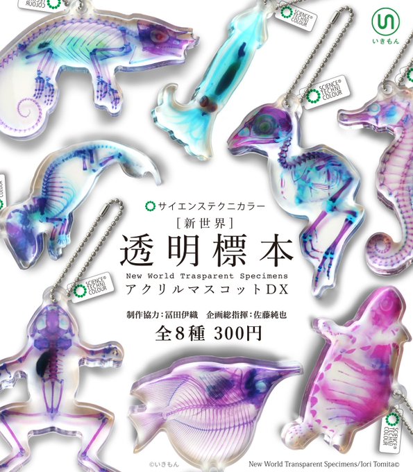 STC 新世界 透明標本アクリルマスコットDX