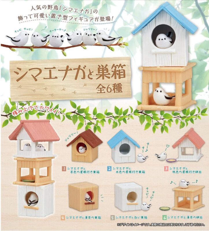 シマエナガと巣箱