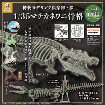 博物モデリング倶楽部・参 1/35マチカネワニ骨格