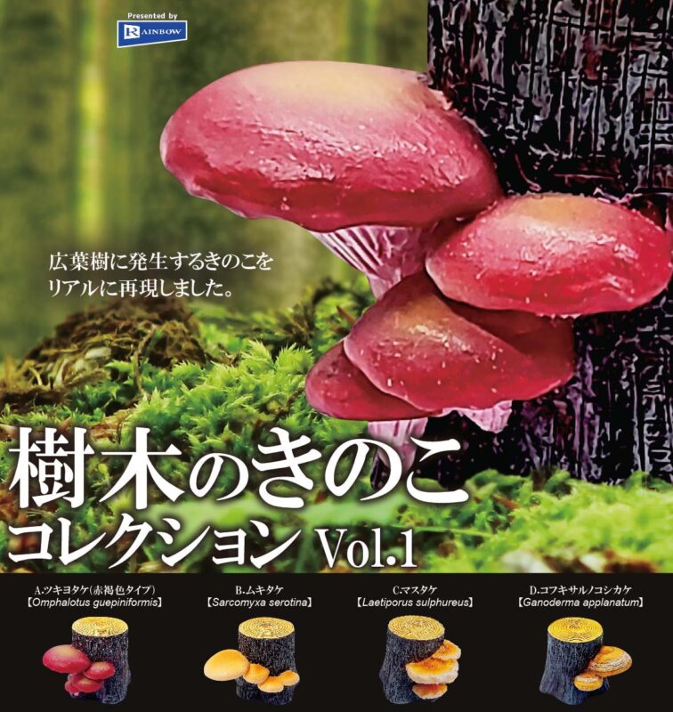樹木のきのこ コレクションVol.1