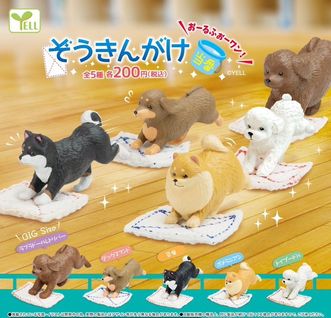 ぞうきんがけ当番