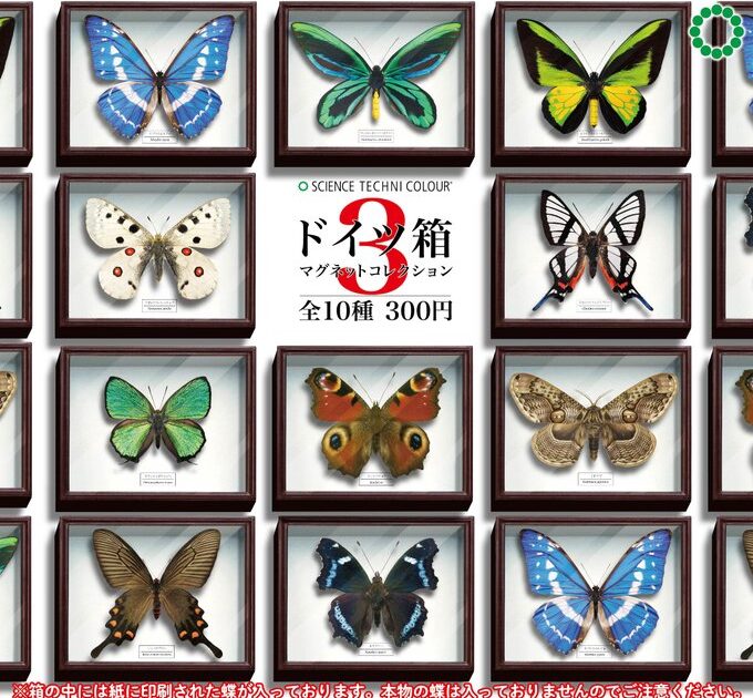 STC ドイツ箱マグネットコレクション3