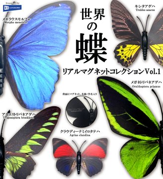 世界の蝶 リアルマグネットコレクション