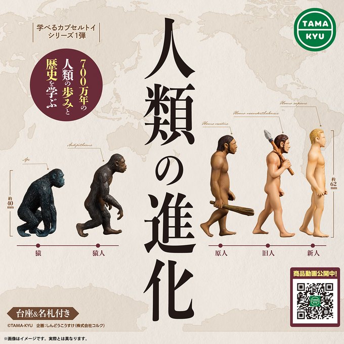 TAMA-KYU 人類の進化