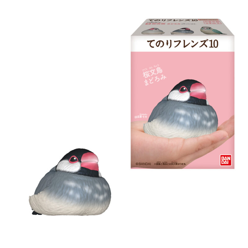 てのりフレンズ10