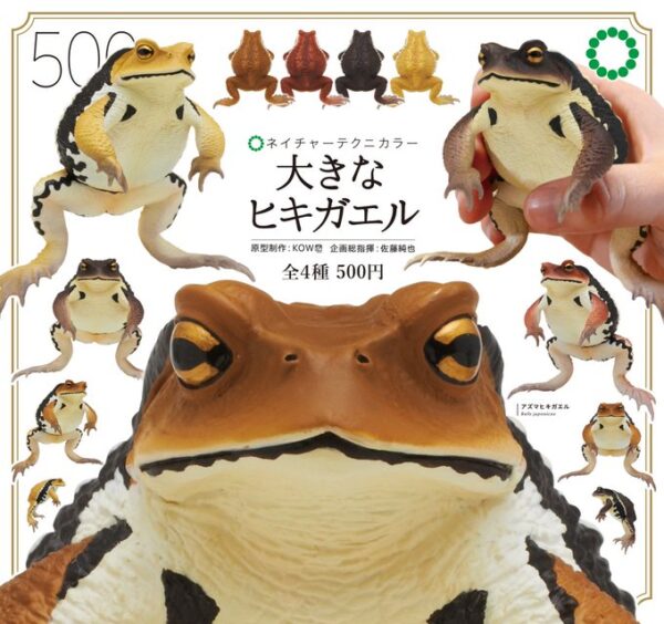 ネイチャーテクニカラー 大きなヒキガエル