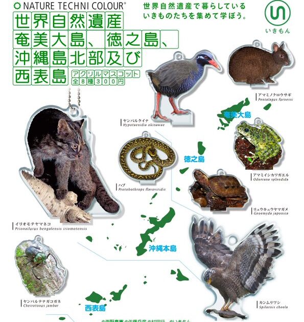 NTC 世界自然遺産 奄美大島、徳之島、沖縄島北部及び 西表島 アクリルマスコット