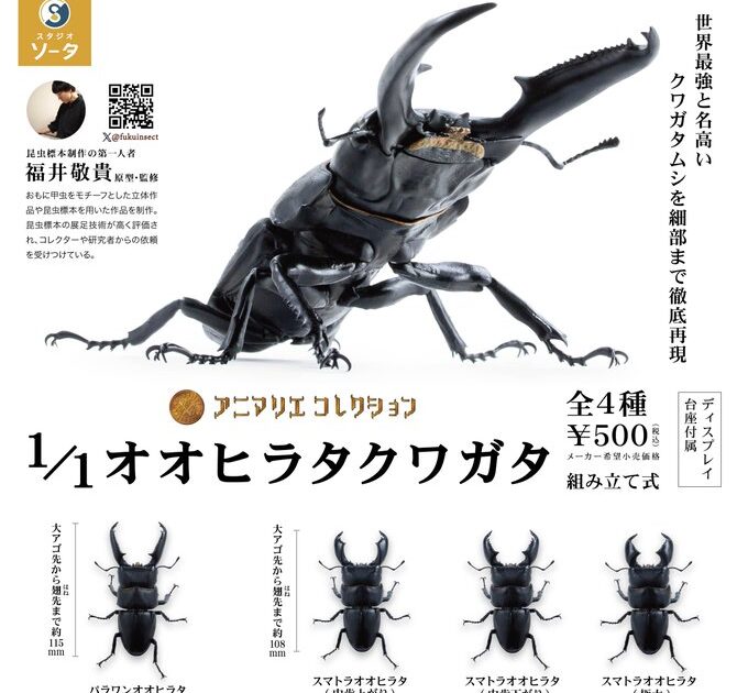 アニマリエコレクション 1/1オオヒラタクワガタ