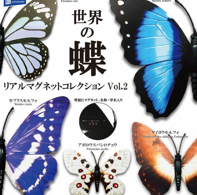 世界の蝶 リアルマグネットコレクション Vol.2