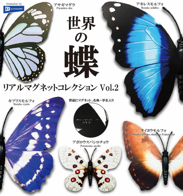世界の蝶 リアルマグネットコレクション Vol.2