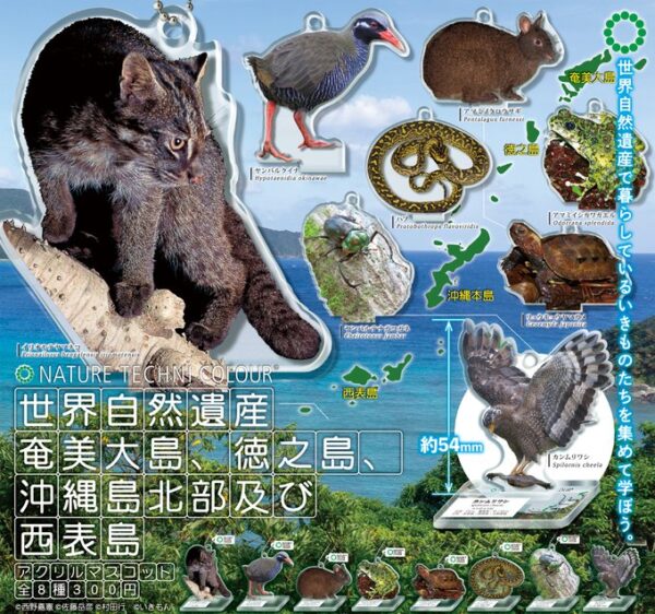 NTC 世界自然遺産 奄美大島、徳之島、沖縄島北部及び 西表島 アクリルマスコット