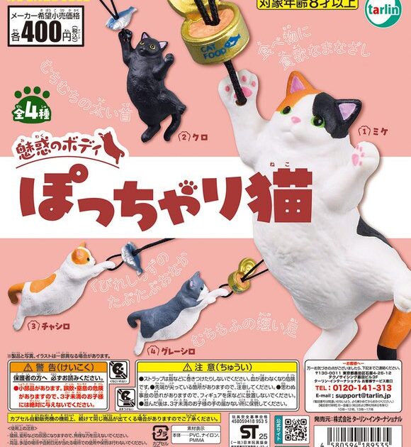 魅惑のボディ ぽっちゃり猫