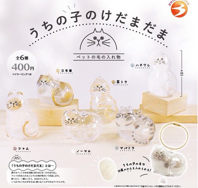 うちの子のけだまだま