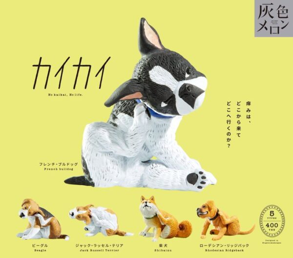 灰色メロン カイカイ