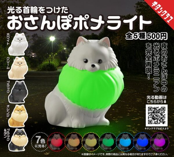 光る首輪をつけたおさんぽポメライト