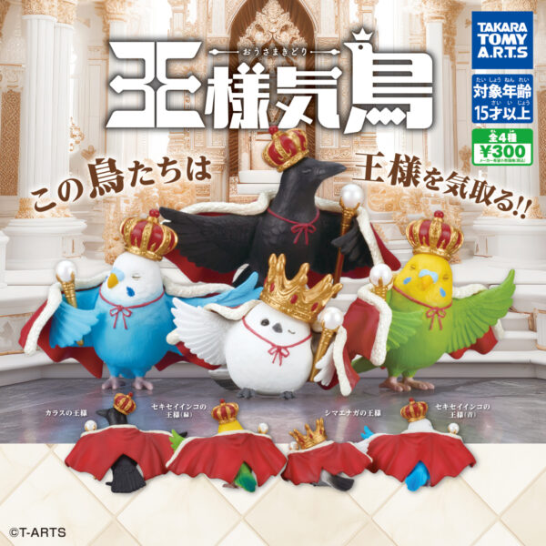 王様気鳥 おうさまきどり