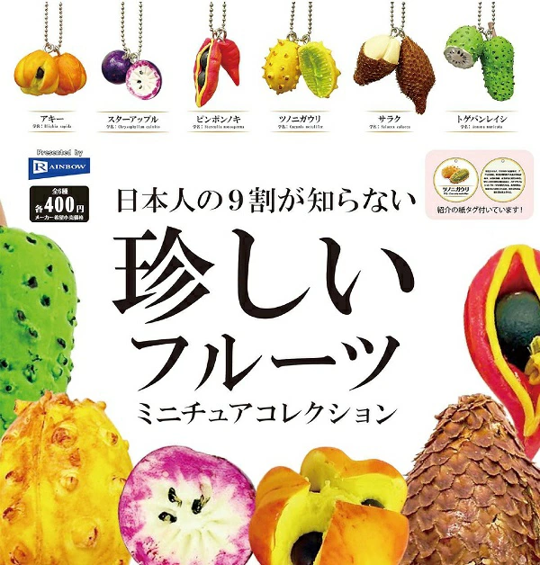 日本人の9割が知らない 珍しいフルーツ ミニチュアコレクション