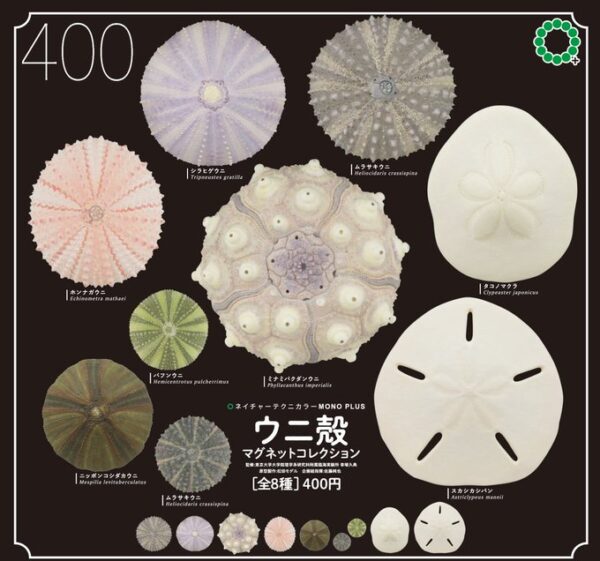 NTC MONO+ ウニ殻 マグネットコレクション