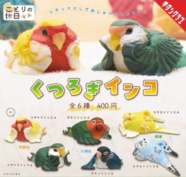 ことりの休日 くつろぎインコ