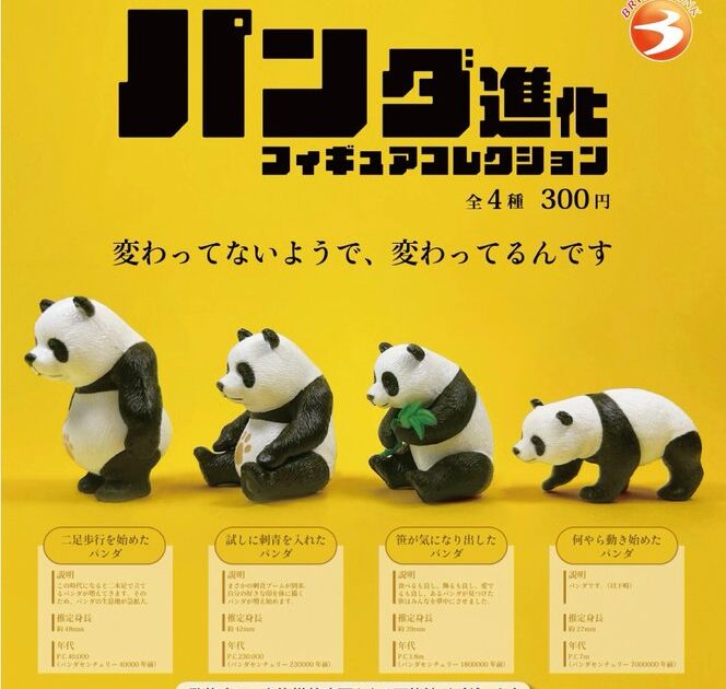 パンダ進化 フィギュアコレクション