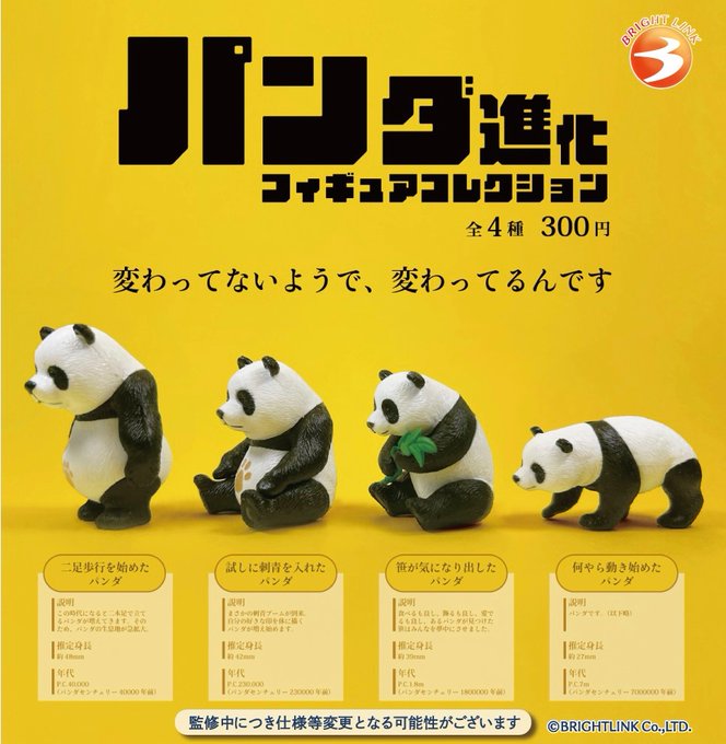 パンダ進化 フィギュアコレクション