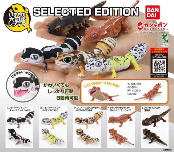 いきもの大図鑑レプティ SELECTED EDITION