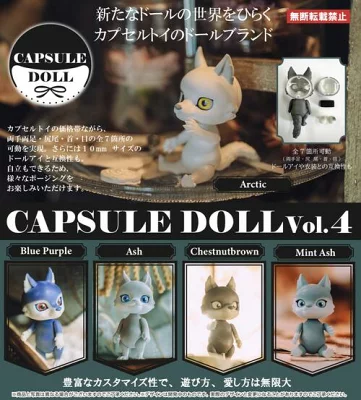 CAPSULE DOLL vol.4