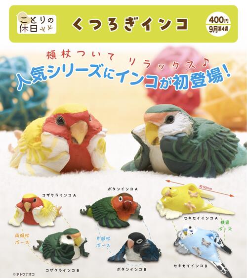 ことりの休日 くつろぎインコ