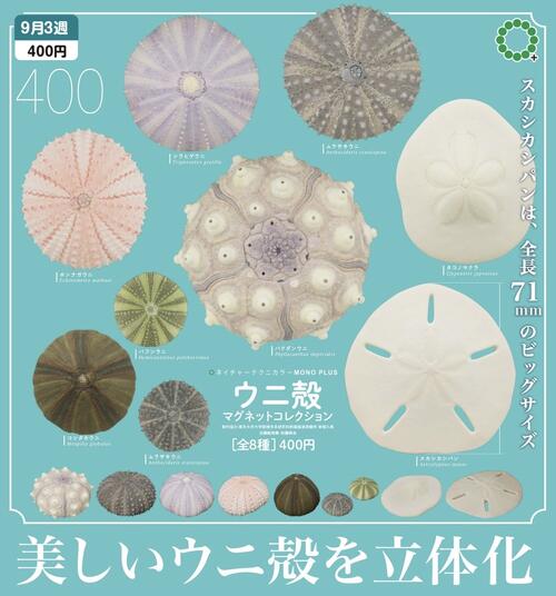 NTC MONO+ ウニ殻 マグネットコレクション