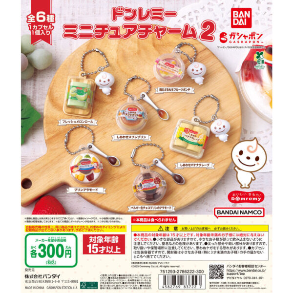 ドンレミー ミニチュアチャーム２