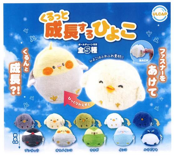 くるっと成長するひよこ