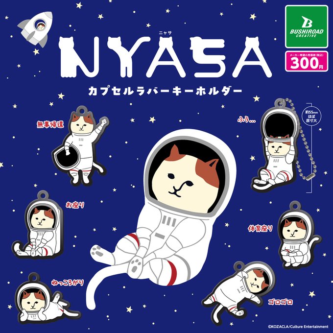 NYASA カプセルラバーキーホルダー