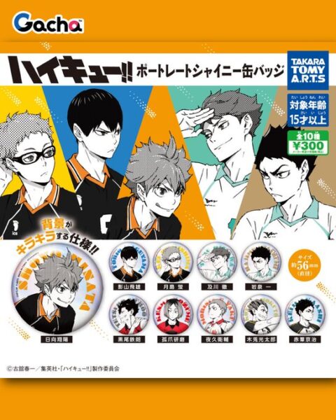 ハイキュー!! ポートレートシャイニー缶バッジ