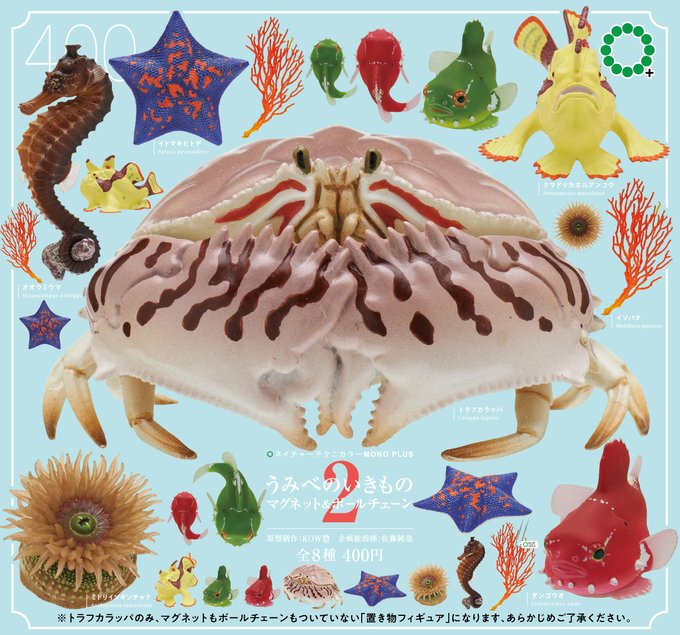 NTC MONO+ うみべのいきもの マグネット&ボールチェーン２